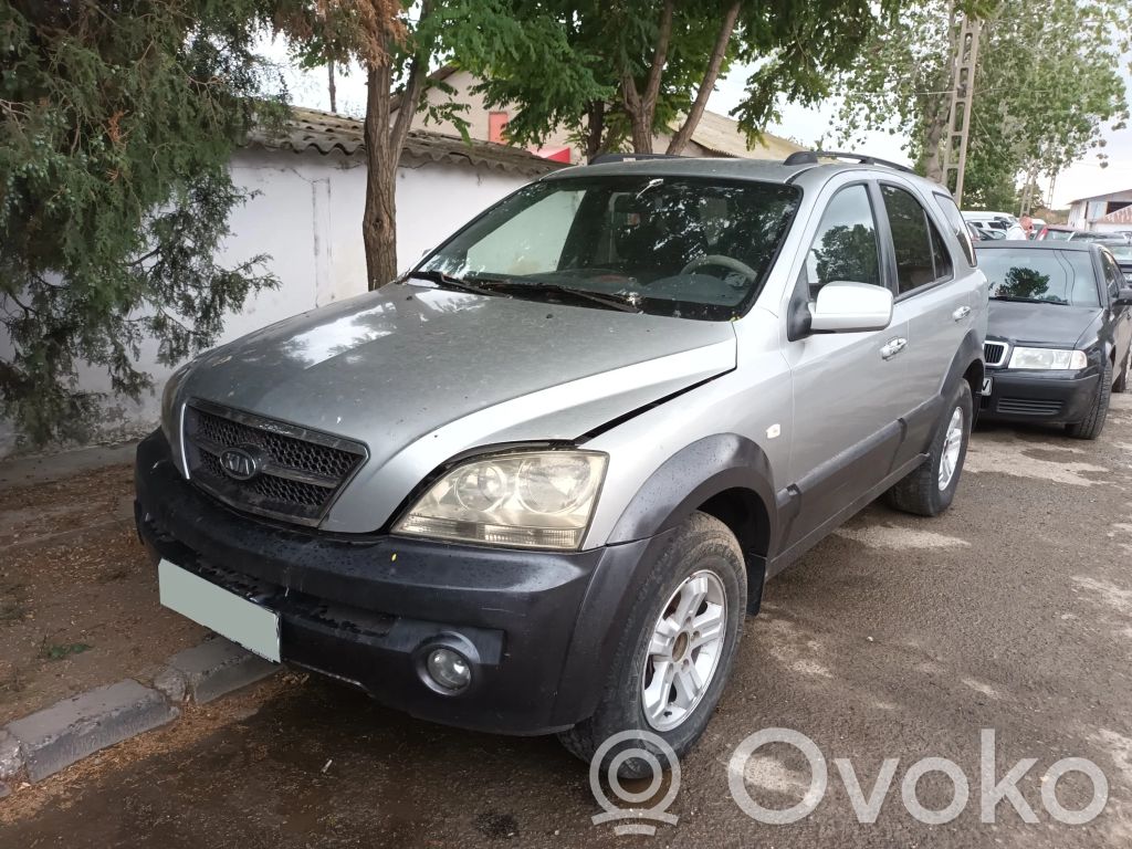 Sorento Sorento  956003E300