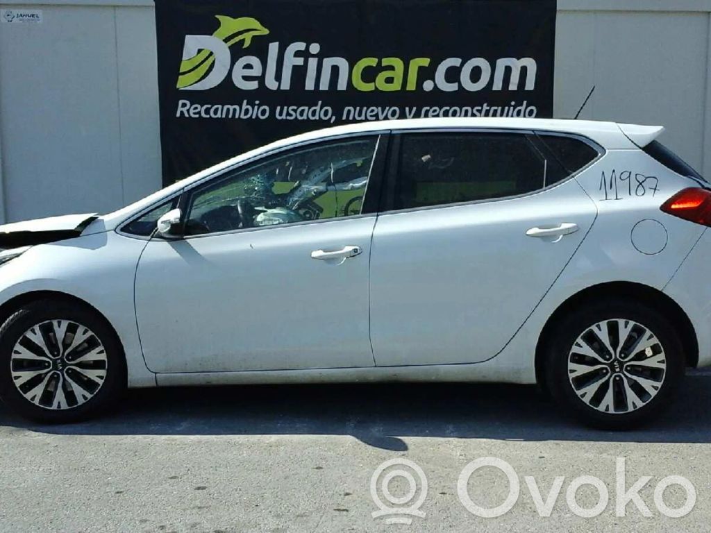Ceed Ceed, Ceed SW, Pro Ceed  116RA003029