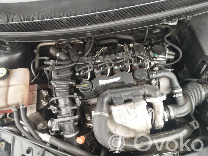 Focus Focus  2109635