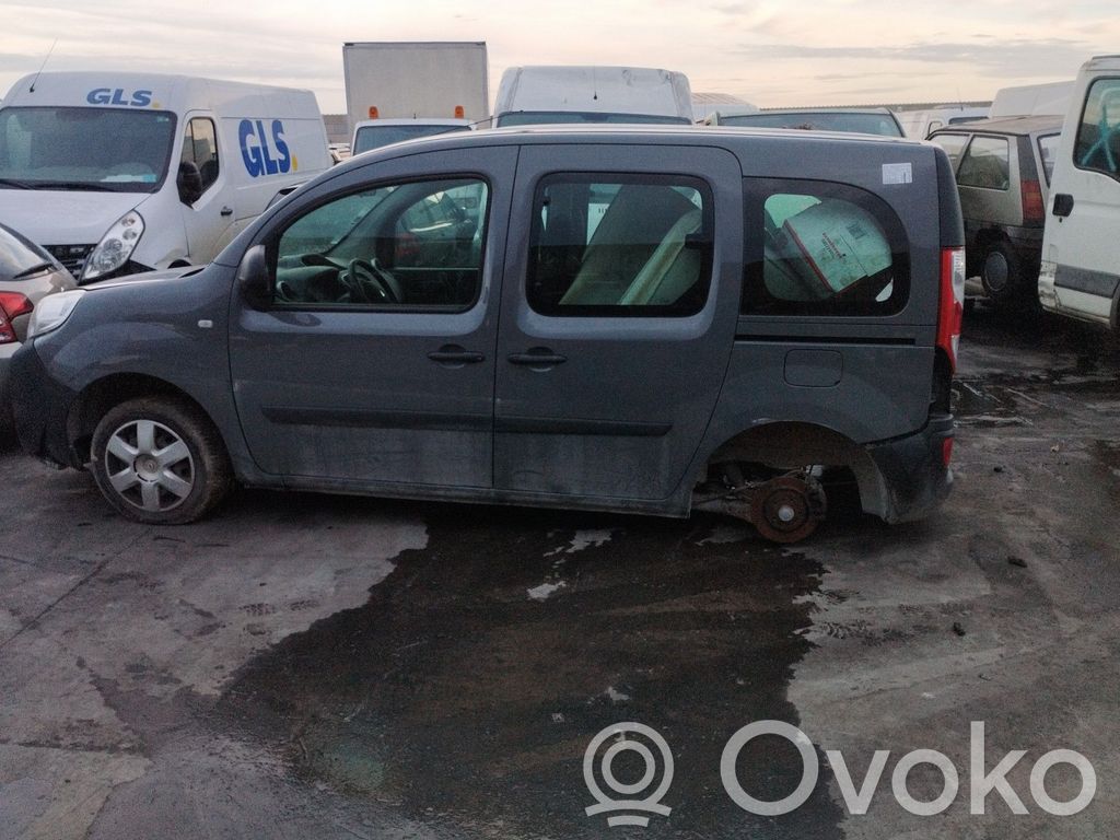 Kangoo II Kangoo  8200854119