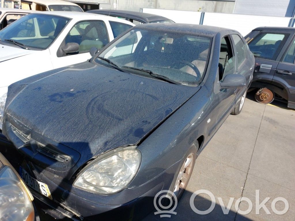 Xsara Xsara, Xsara Picasso