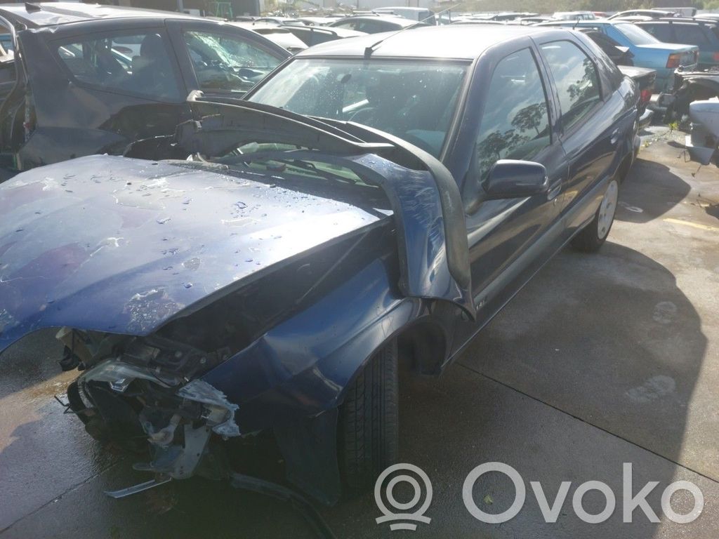 Xsara Xsara, Xsara Picasso