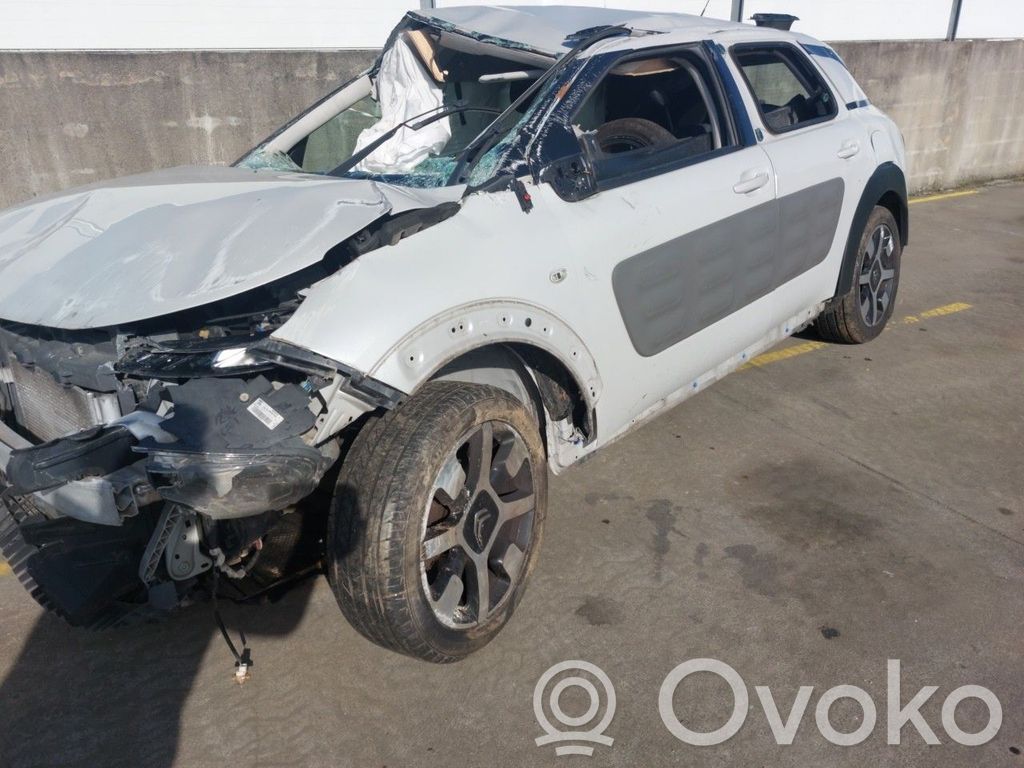 C4 Cactus C4 Picasso, Grand Picasso, Aircross, Cactus