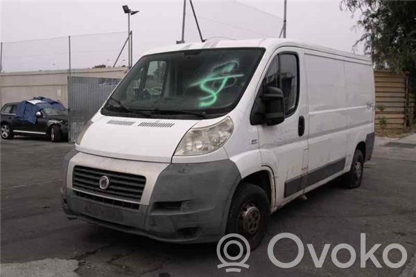 Ducato Ducato  233348