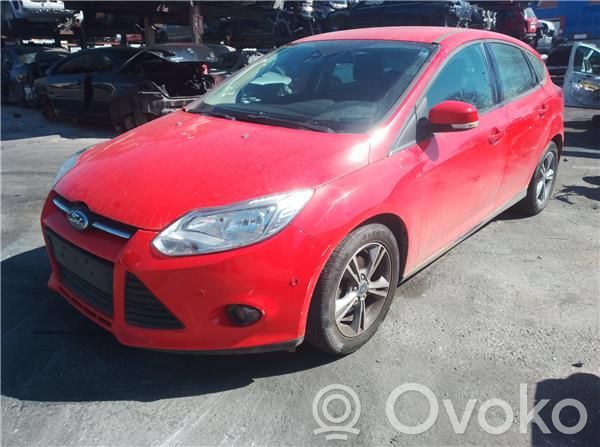 Focus Focus  1726205