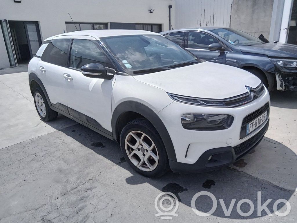 C4 Cactus C4 Picasso, Grand Picasso, Aircross, Cactus  1622804880