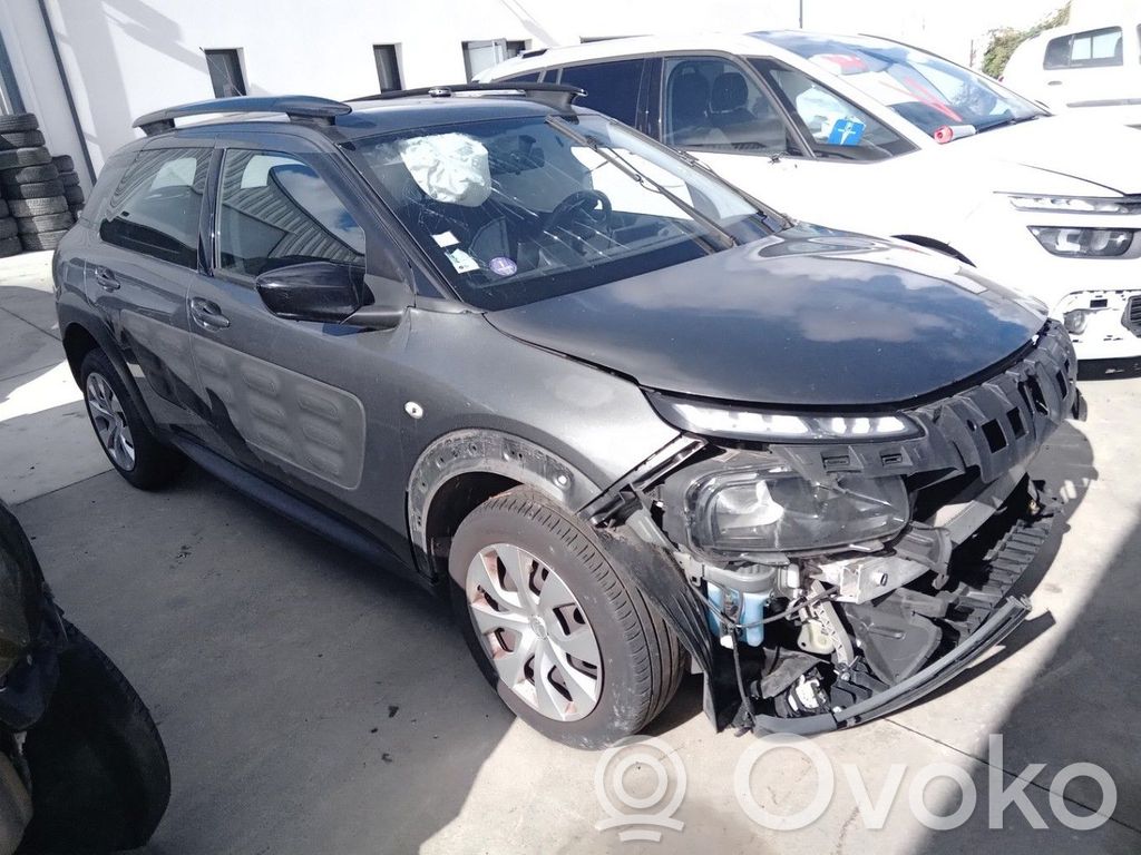 C4 Cactus C4 Picasso, Grand Picasso, Aircross, Cactus  1611428480