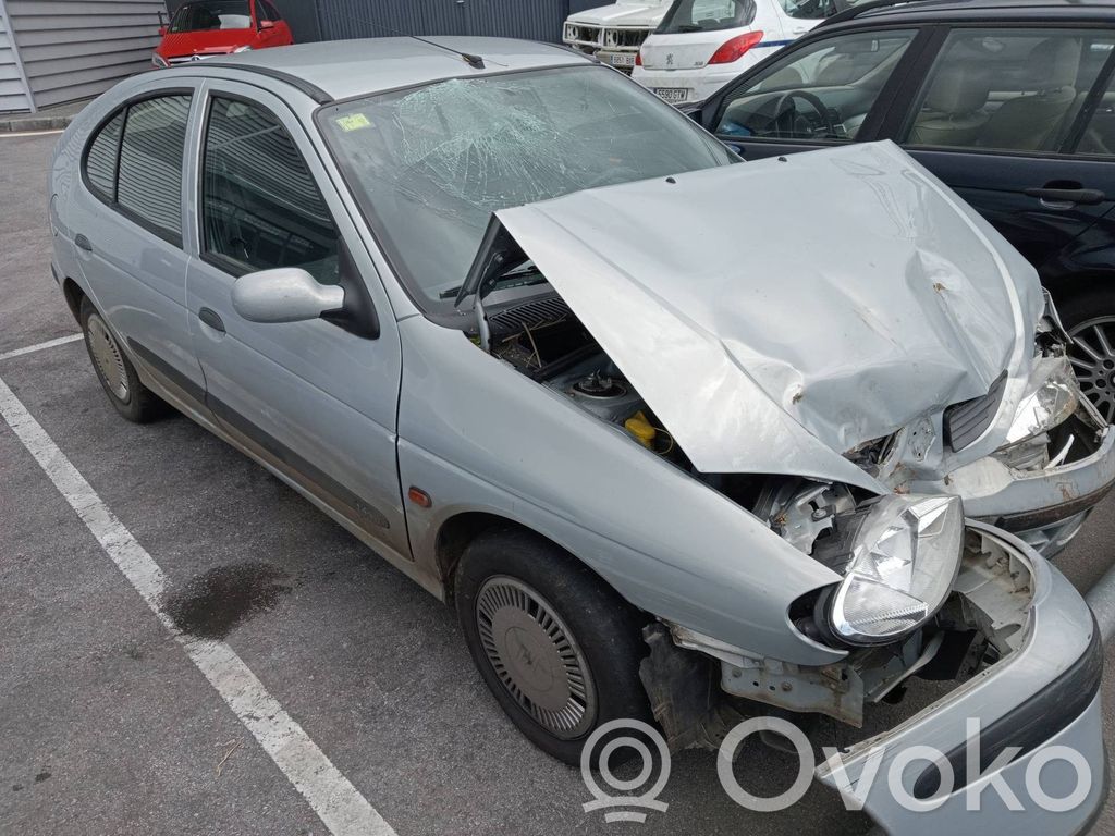 Megane I Megane  0265216955