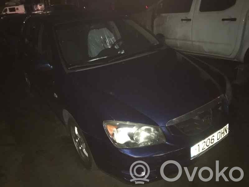 Cerato Cerato