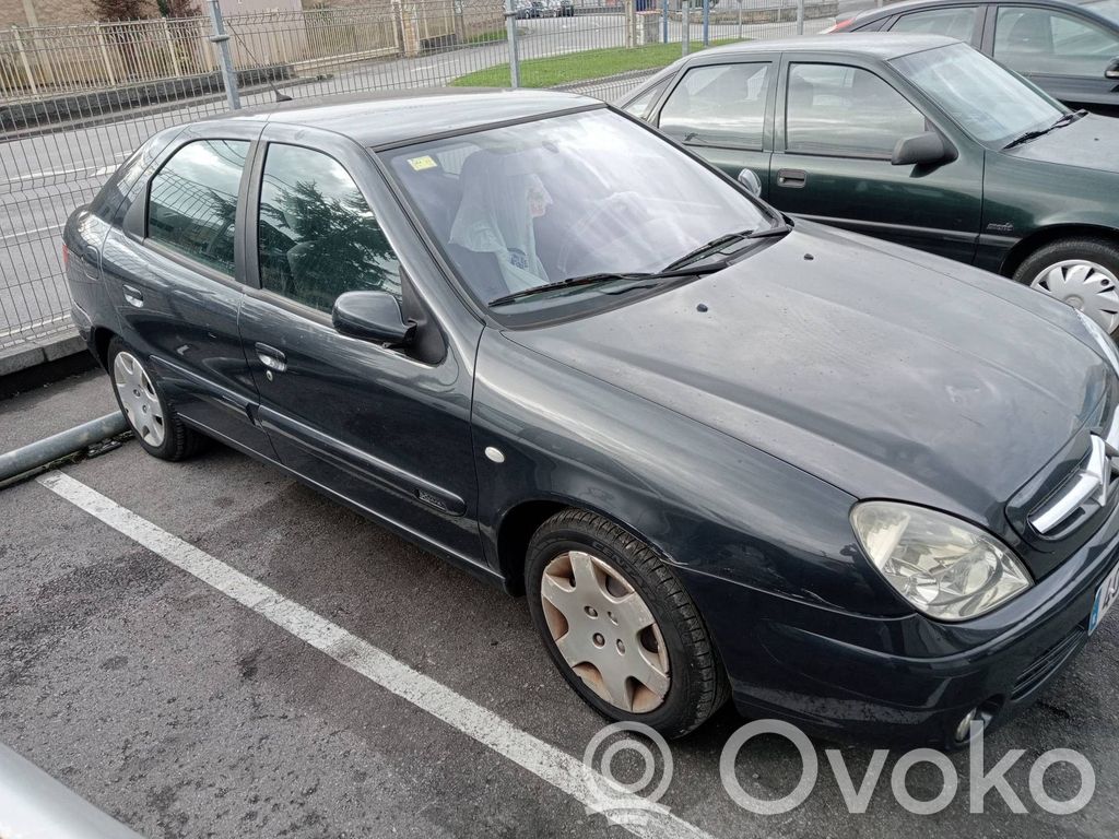 Xsara Xsara, Xsara Picasso