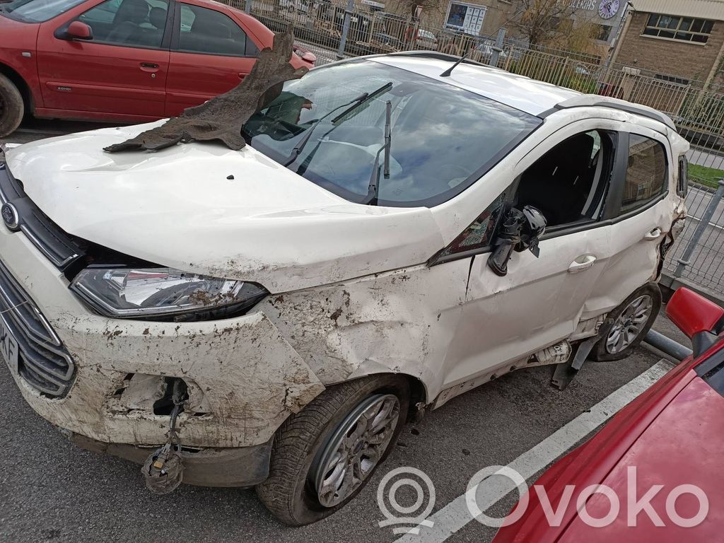 Ecosport Ecosport  FN1BN400A12AB