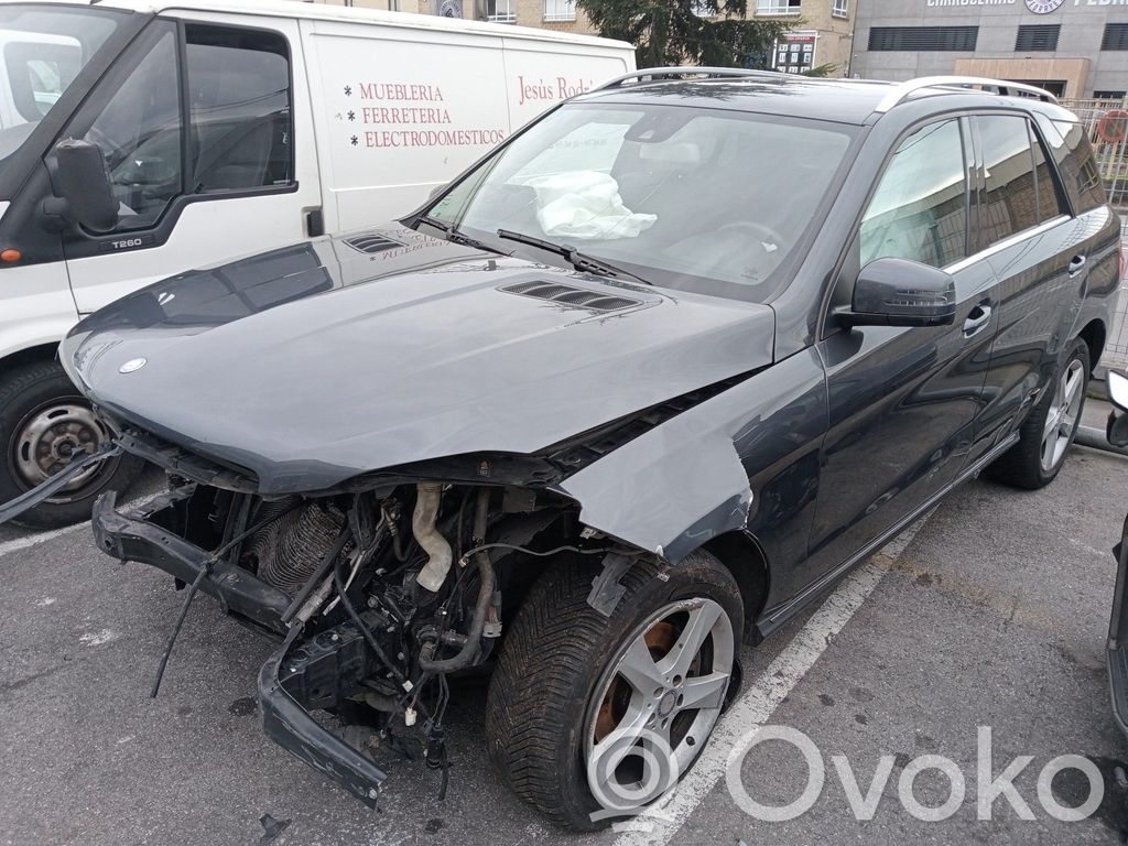ML W164 ML-class, AMG (W163, W164, W166)  0281019731