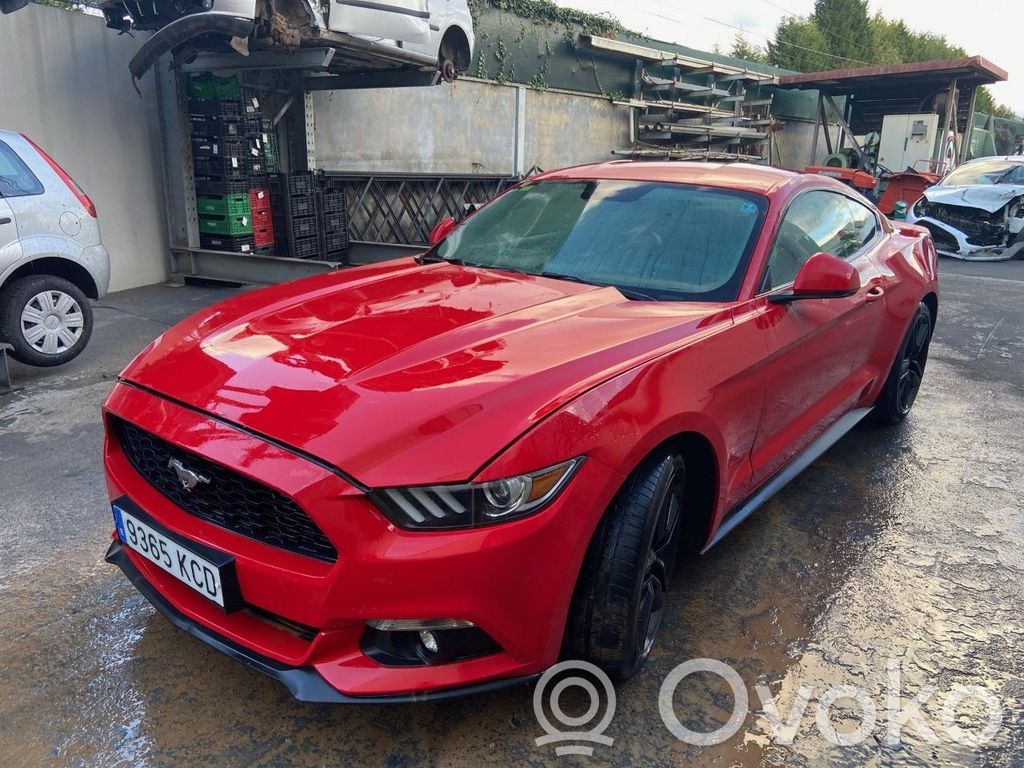 Mustang VI Mustang