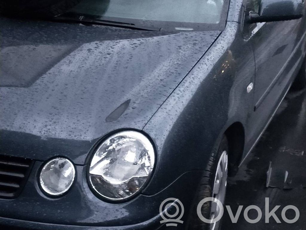 Polo Polo  IAW4MVDD