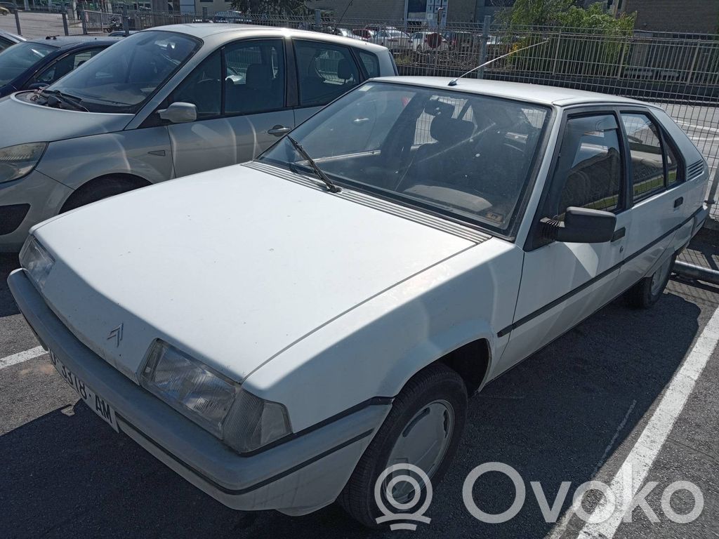 BX BX