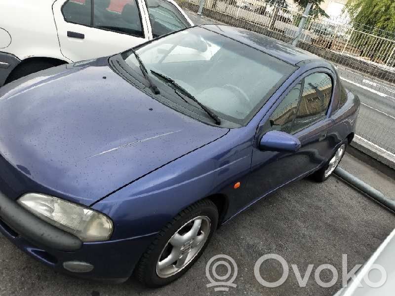 Tigra A Tigra