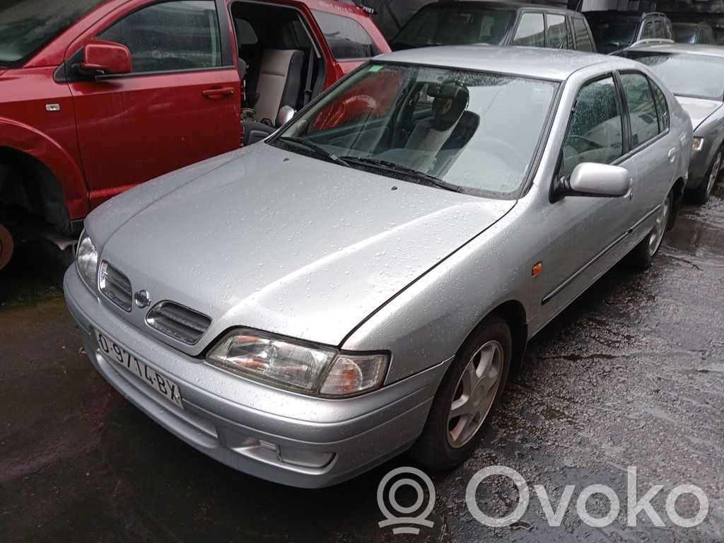 Primera Primera  231002F010