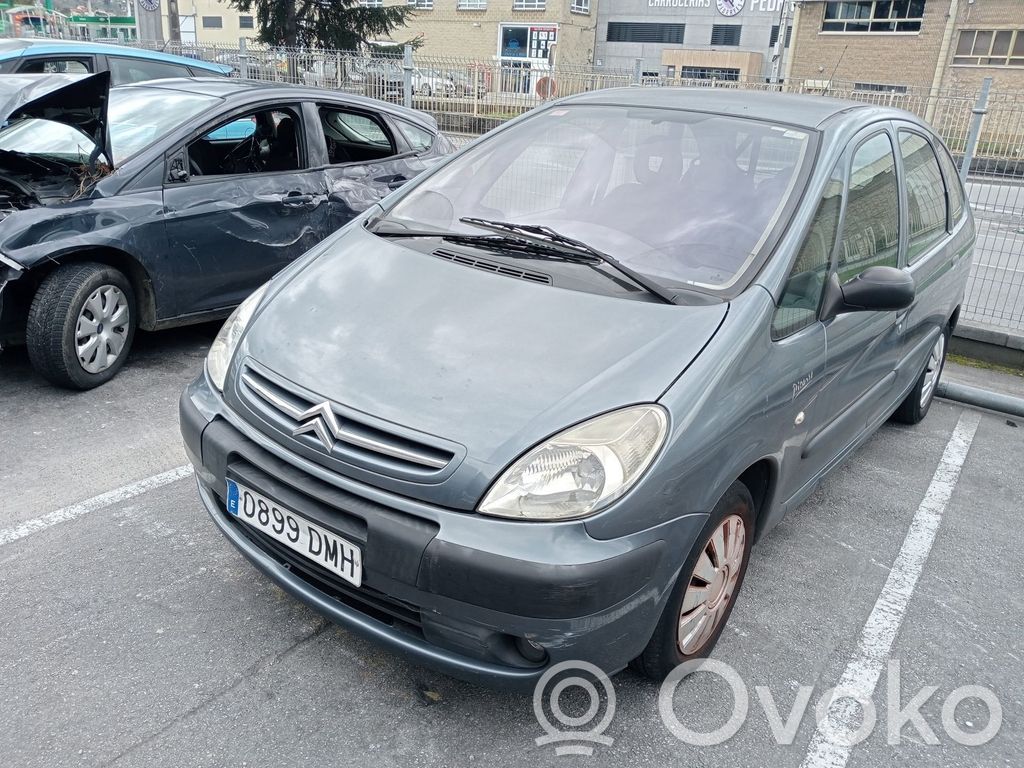 Xsara Xsara, Xsara Picasso