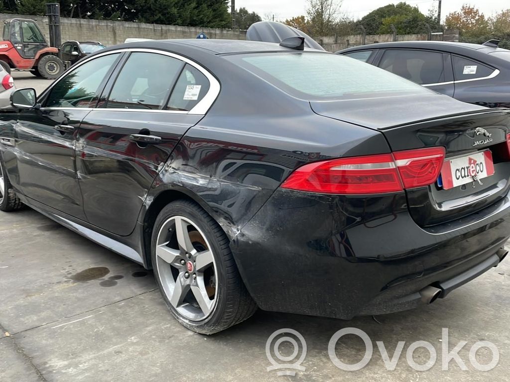 XE XE  C2D22823