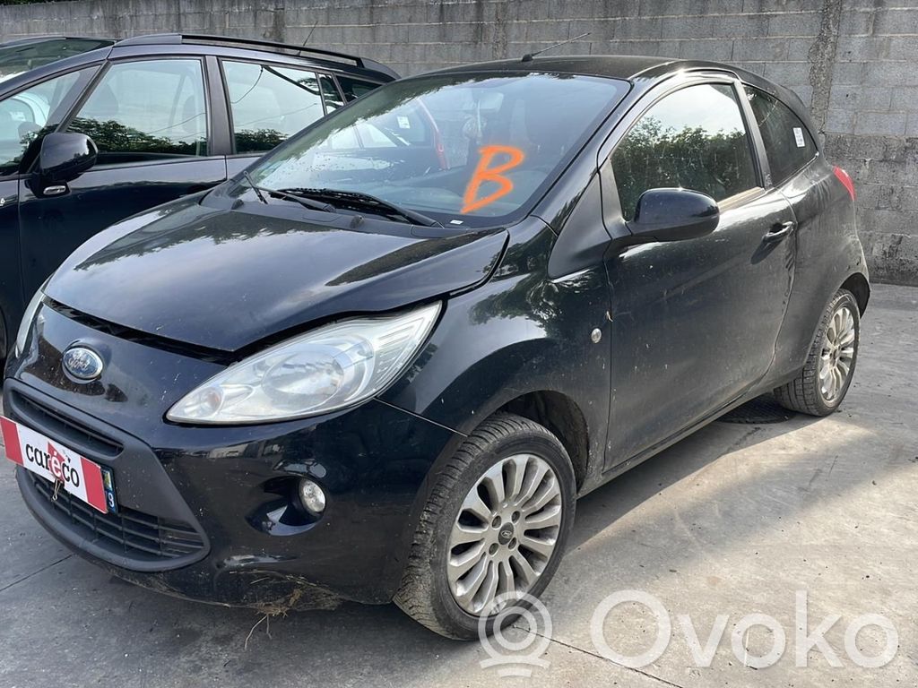 Ka Ka  1542365