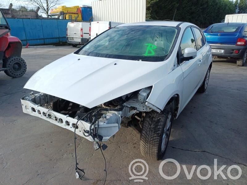 Focus Focus  1781479