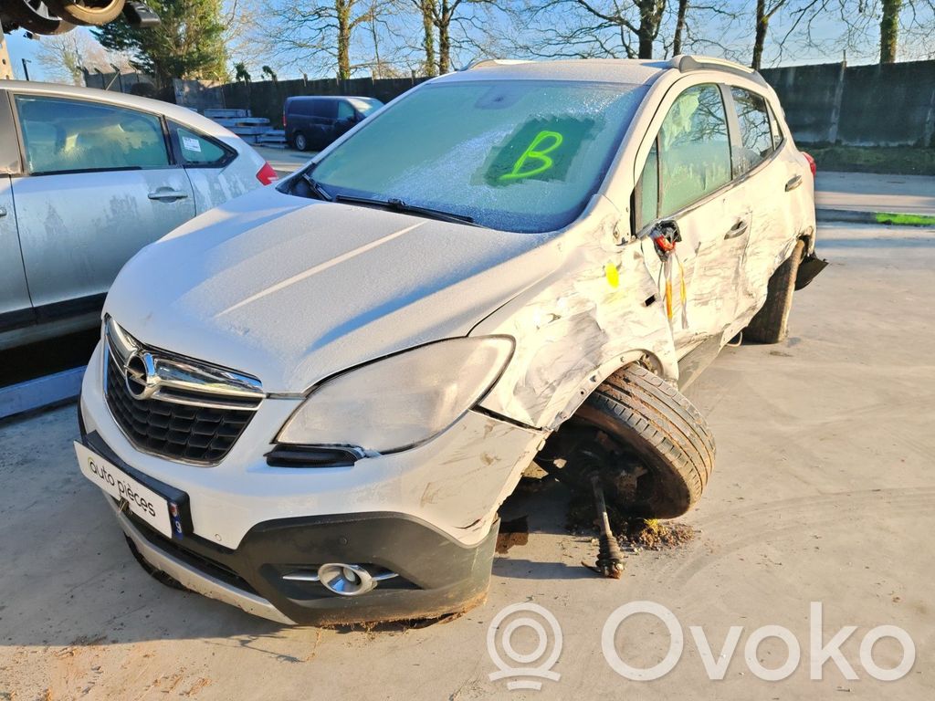 Mokka Mokka  25947952