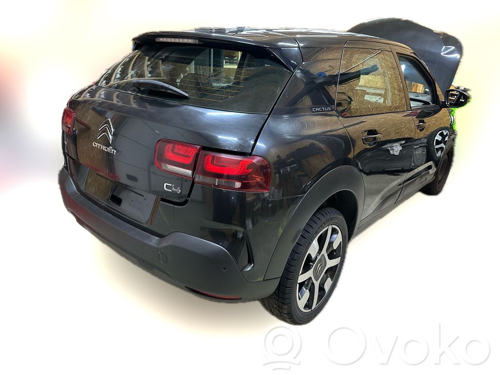 C4 Cactus C4 Picasso, Grand Picasso, Aircross, Cactus  98303131ZD