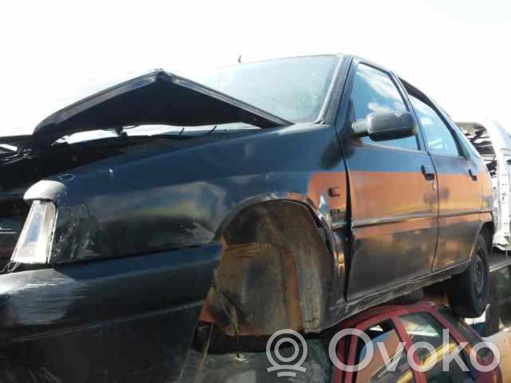 TEST Clio  33779501