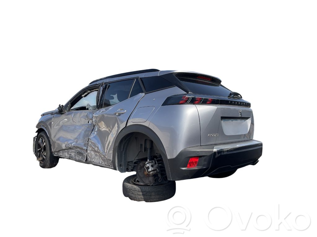 2008 II 2008  PSA444423