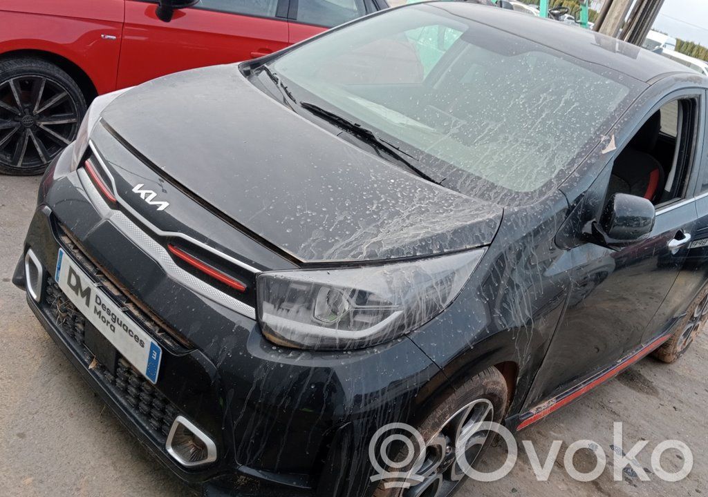 Picanto Picanto  61008428