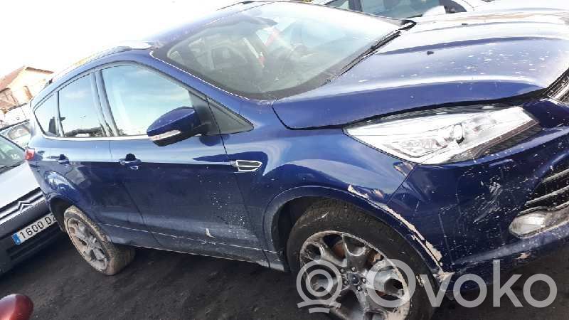 Kuga II Kuga