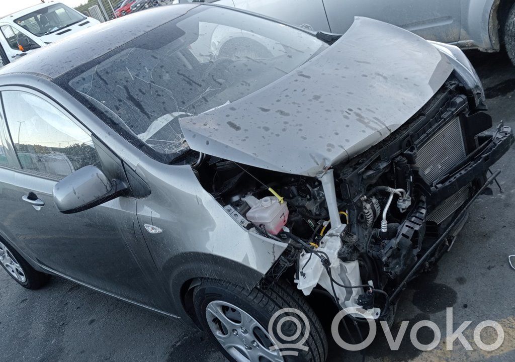 Picanto Picanto  3911607243