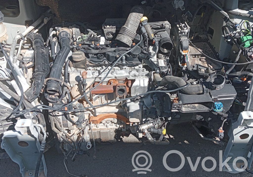 Scudo Scudo  9856345480