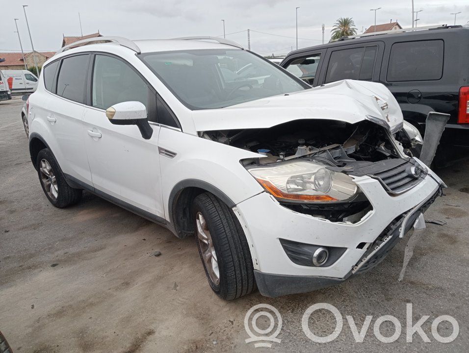 Kuga I Kuga  1721745