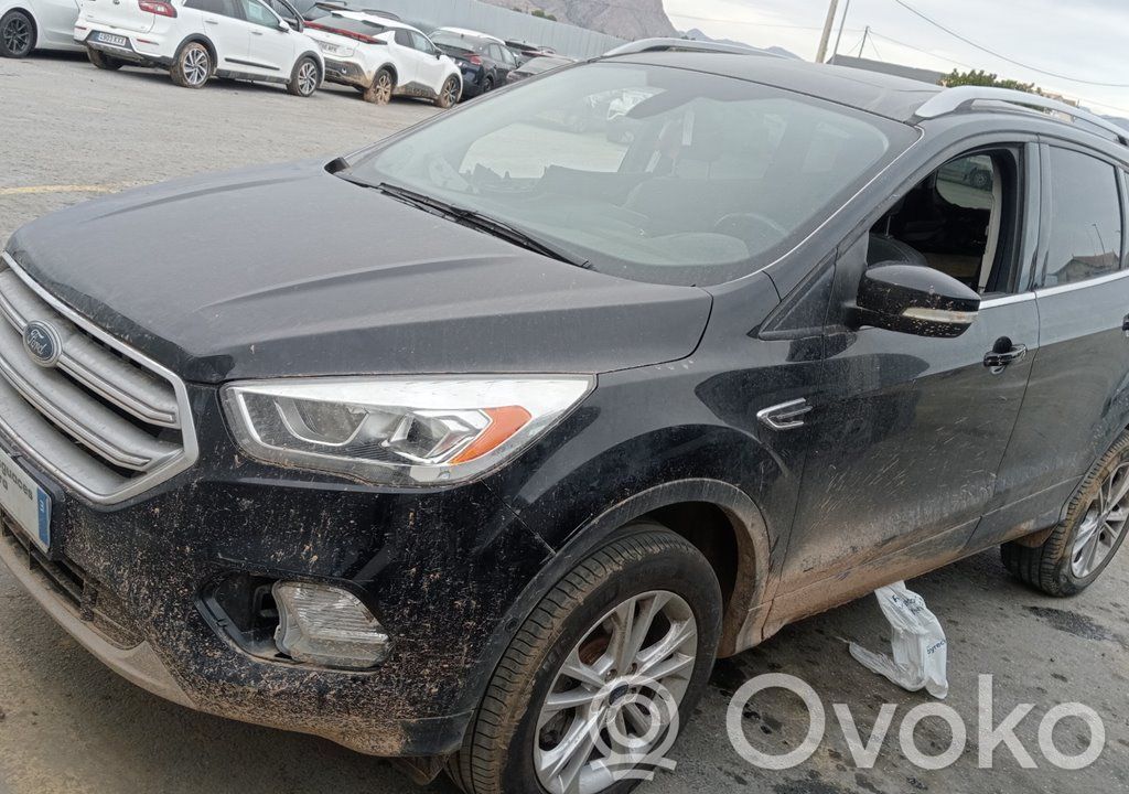 Kuga II Kuga  2383151