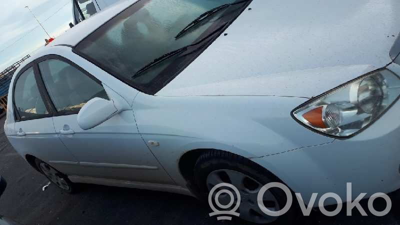 Cerato Cerato  3610023100