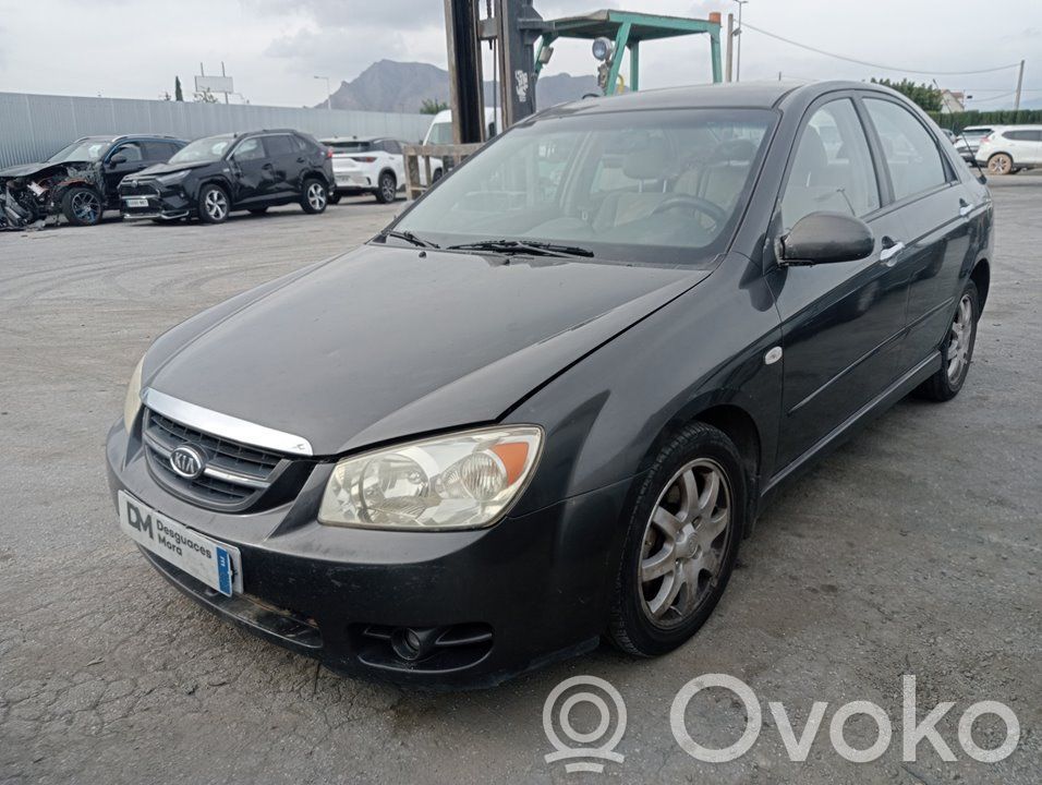 Cerato Cerato  760032F020