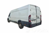 Jumper Jumper  4HHP22DTE