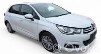 C4 II C4 Picasso, Grand Picasso, Aircross, Cactus  2624310D
