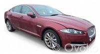 XF XF  C2C41390