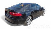 XE XE  204DTD