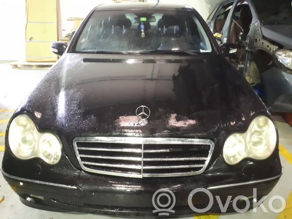 C W203 C-class, AMG (W202, W203, W204, W205, W206)