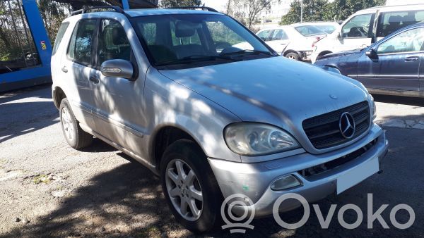 ML W163 ML-class, AMG (W163, W164, W166)