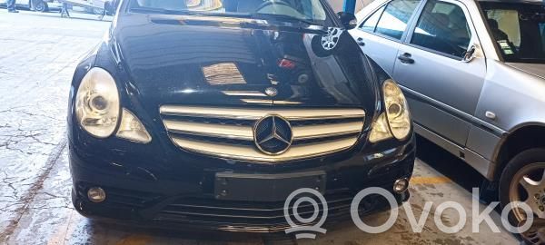 R W251 R-class, AMG (W251)