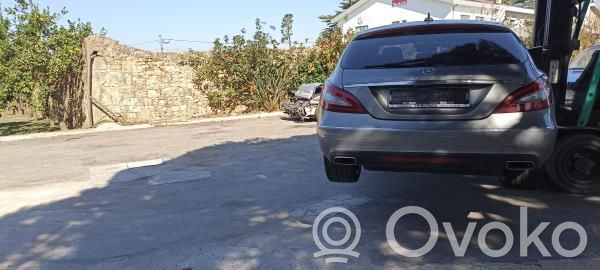 CLS C218 X218 CLS-class, AMG (W219,C218/X218)