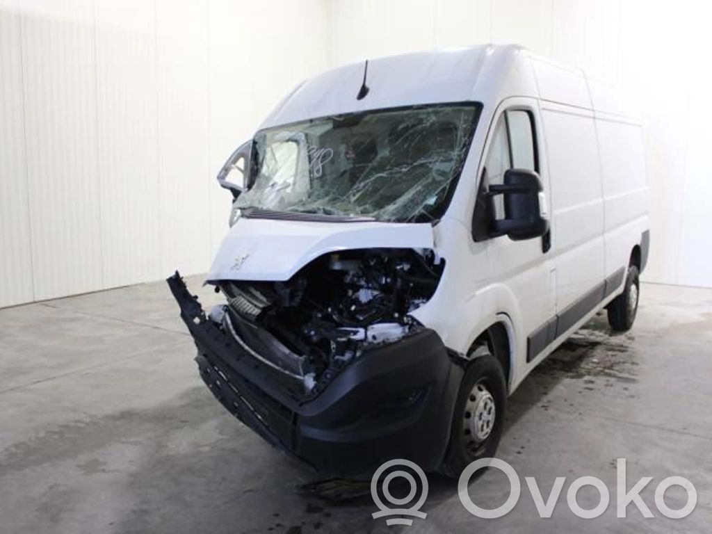 Boxer Boxer  1675873680