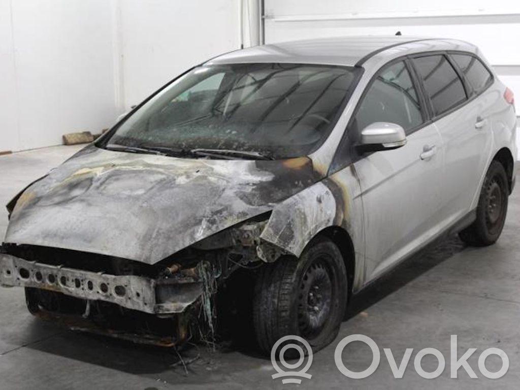 Focus Focus  1948762