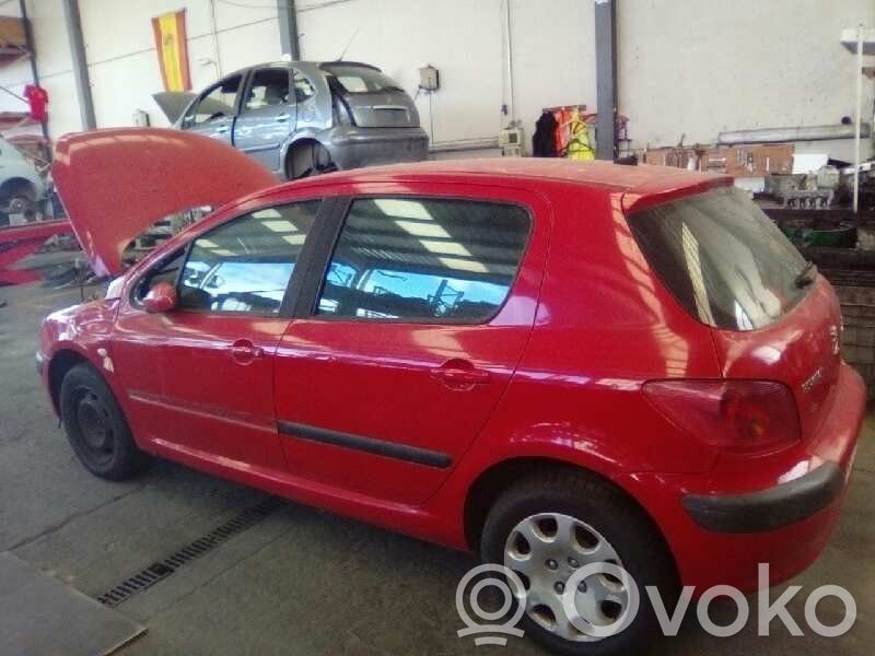 307 307  5WS40133CT