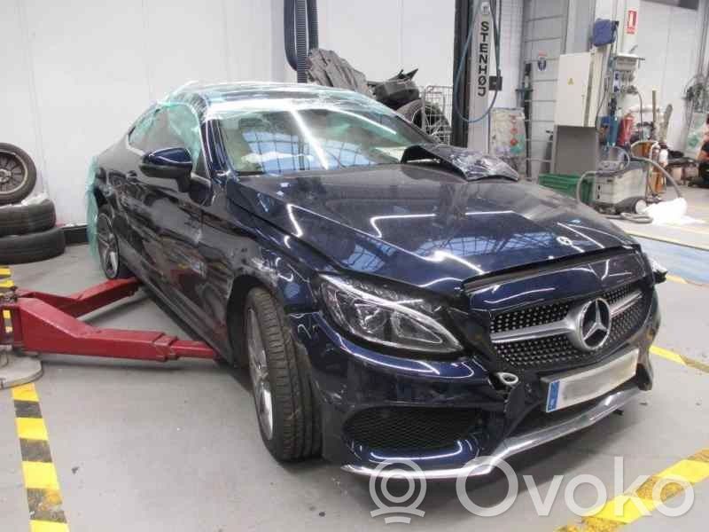 C W205 C-class, AMG (W202, W203, W204, W205, W206)  0258030009