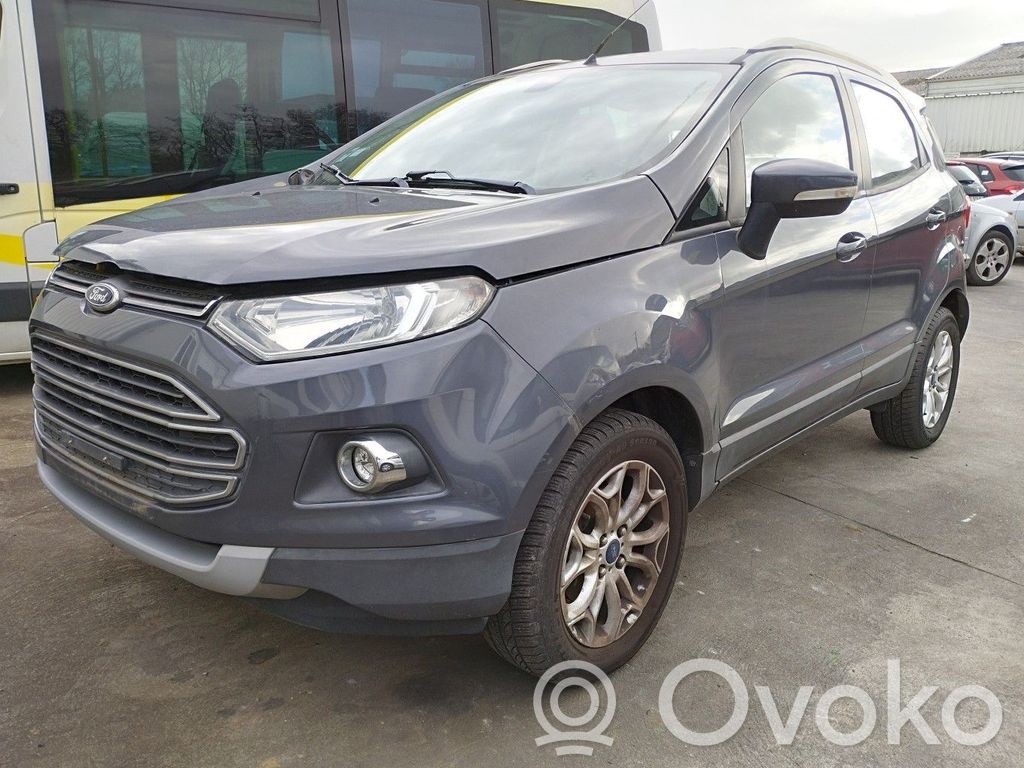 Ecosport Ecosport  2013451
